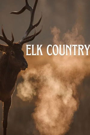 Elk Country (2025)