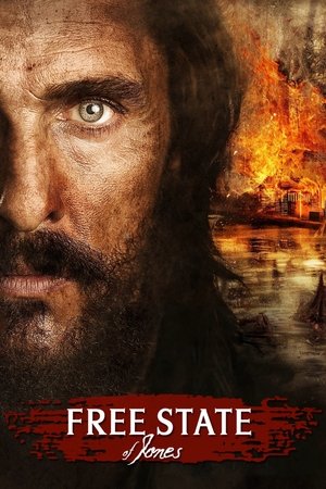 Free State of Jones (2016)