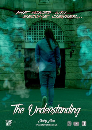 The understanding (2019)