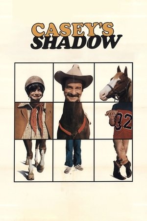 Caseys Shadow (1978)