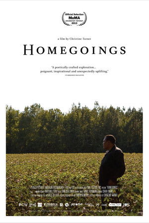 Homegoings (2013)