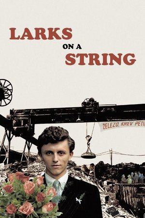 Larks on a String (1969)