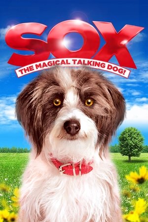 Sox (2013)