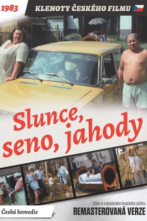 Slunce, seno, jahody (1984)
