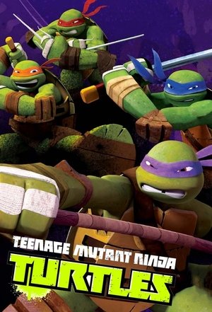 Teenage Mutant Ninja Turtles (TV Series 2012 - 2017)