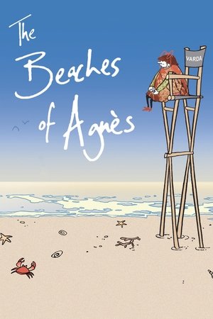 The Beaches of Agnes (2008)