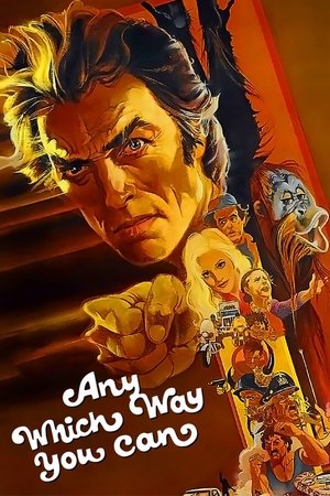 Any Which Way You Can (1980)