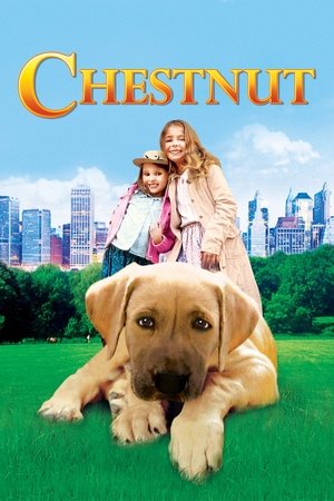 Chestnut Hero of Central Park (2004)