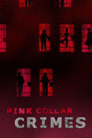 Pink Collar Crimes TV Series