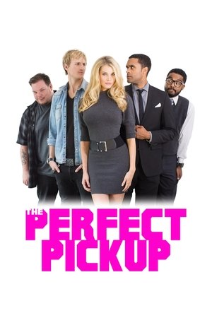 The Perfect Pickup (2016)