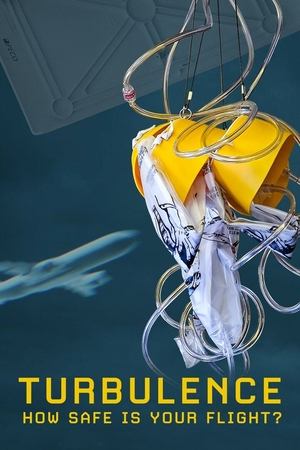 Turbulence: How Safe Is Your Flight (2024)