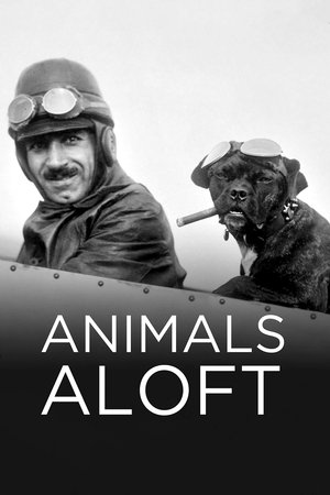 Animals Aloft (2009)