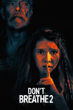 Dont Breathe 2 (2021)