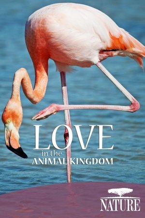 Love in the Animal Kingdom (2013)