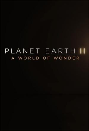 Planet Earth II A World of Wonder (2017)