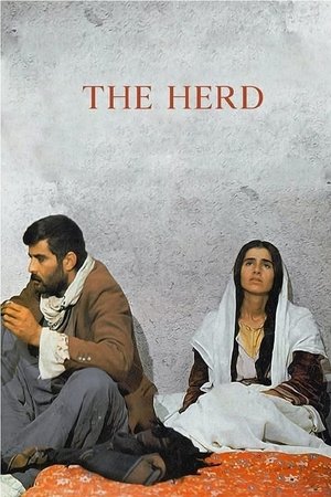 The Herd (1978)