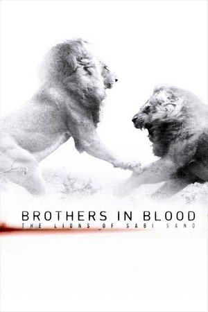 Brothers in Blood The Lions of Sabi Sand (2015)