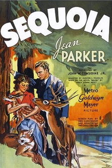 Sequoia (1934)