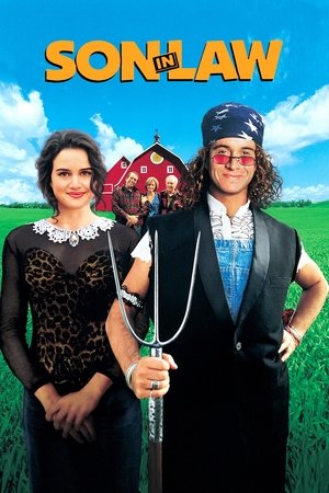 Son in Law (1993)