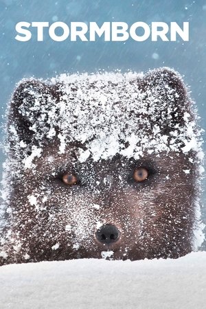 Stormborn (2020-)