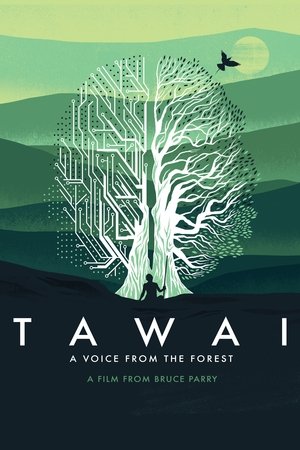 Tawai A Voice from the Forest (2017)
