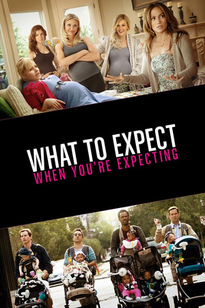 What to Expect When Youre Expecting 2012