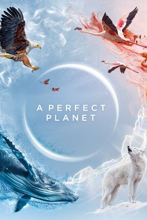 Perfect Planet (2021 )