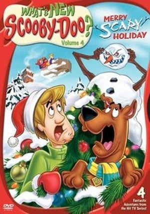A ScoobyDoo! Christmas (2004)