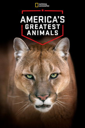 Americas Greatest Animals (2012)
