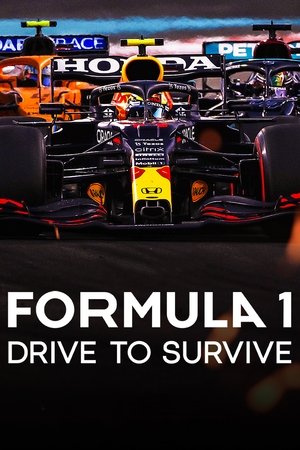 Formula 1: Drive to Survive (2019 )