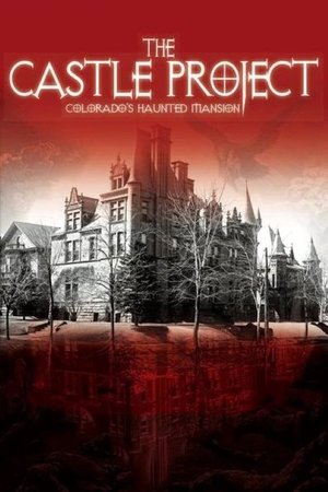 The Castle Project (2013)