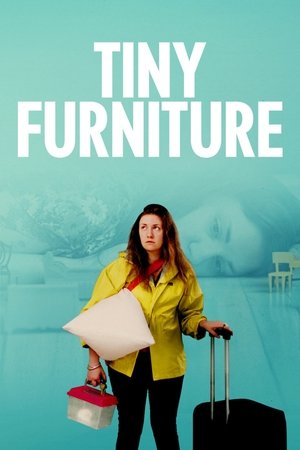 Tiny Furniture (2010)