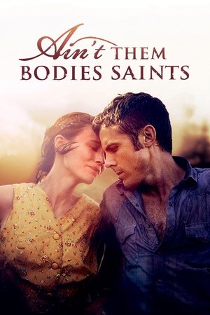 Aint Them Bodies Saints (2013)