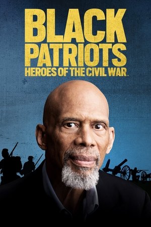 Black Patriots Heroes of the Civil War (2022)