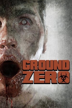 Ground Zero (2010)