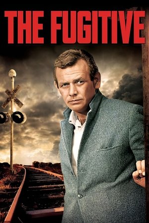The Fugitive (1963 1967)