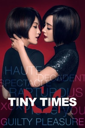 Tiny Times (2013)