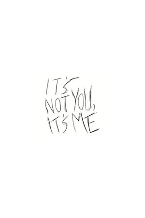 Its Not You Its Me (2013)