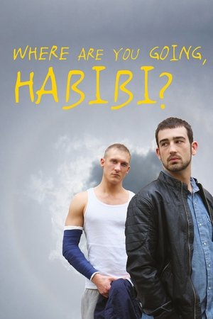 Where Are You Going, Habibi (2015)