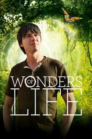 Wonders of Life (2013 )