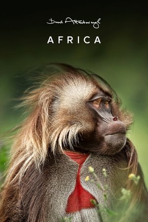 Africa (2013)