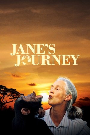 Janes Journey (2010)