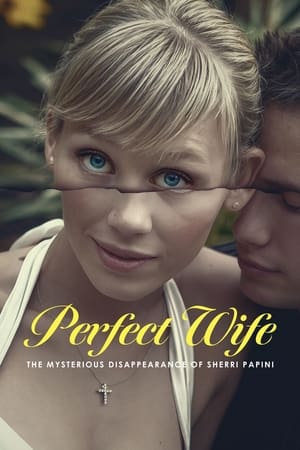 Perfect Wife The Mysterious Di
