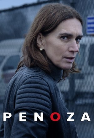 Penoza (20102017)