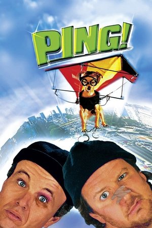 Ping (2000)