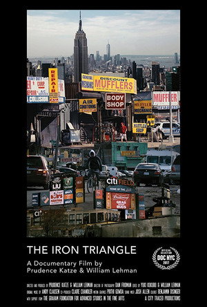 The Iron Triangle Willets Point and the Remaking of New York (2017)