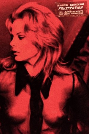 The Chambermaids Dream (1971)