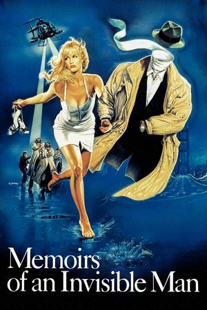 Memoirs of an Invisible Man (1992)