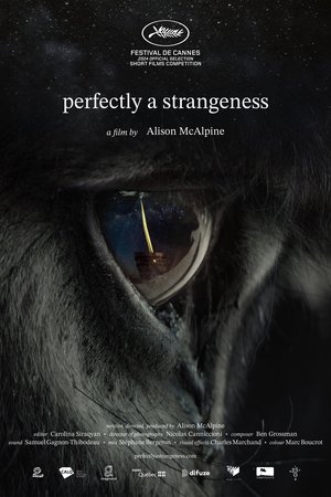 Perfectly a Strangeness (2024)