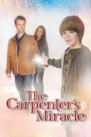 The Carpenters Miracle (2013)